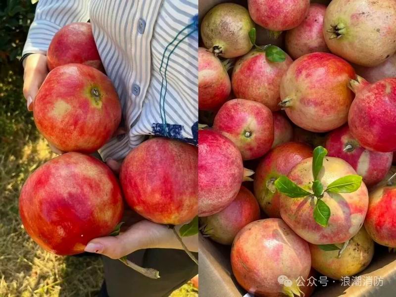 1760341167407835.jpg 640_wx_fmt=jpeg&from=appmsg&watermark=1&tp=webp&wxfrom=5&wx_lazy=1 (2).jpg